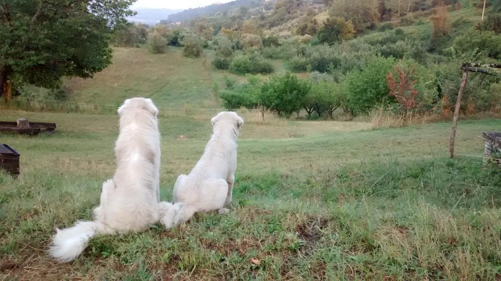 Agriturismo Monterone Ponzano Romano Экстерьер фото