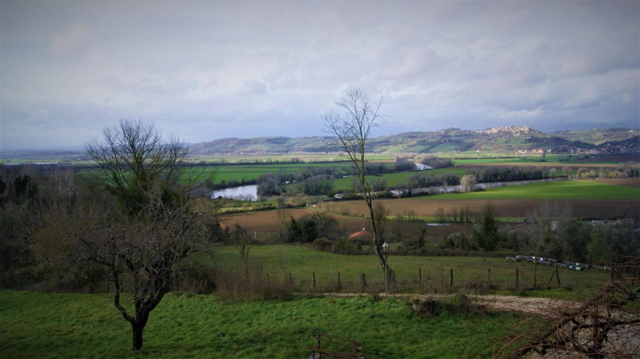 Agriturismo Monterone Ponzano Romano Экстерьер фото