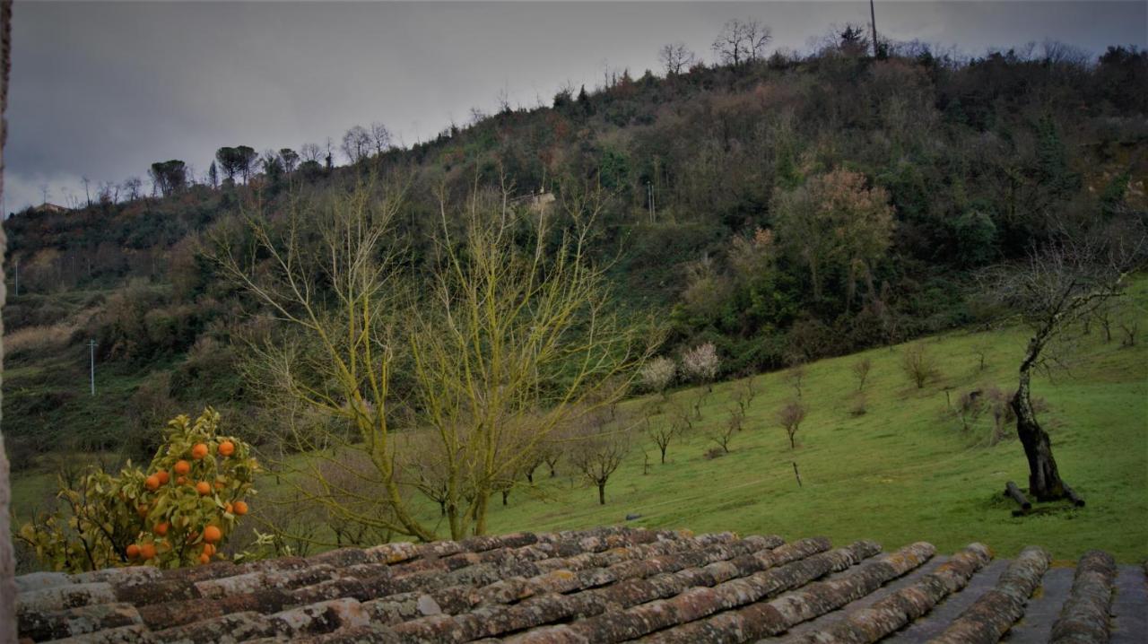 Agriturismo Monterone Ponzano Romano Экстерьер фото