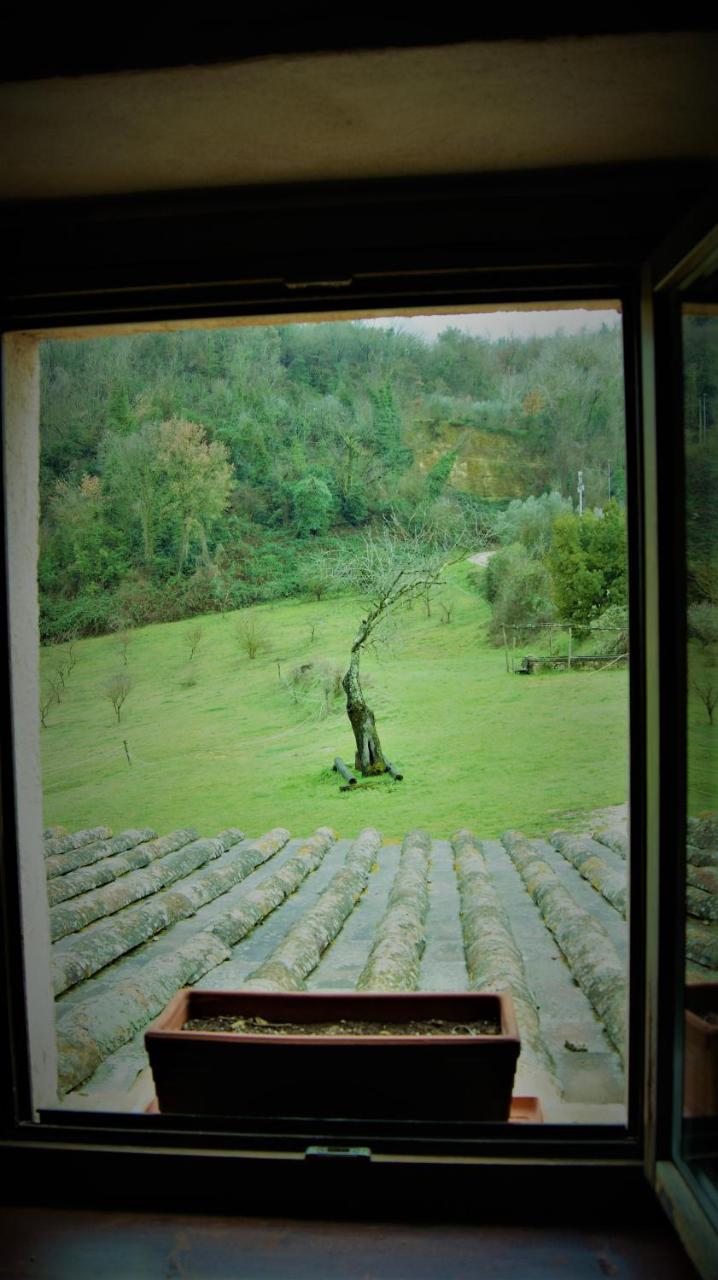 Agriturismo Monterone Ponzano Romano Экстерьер фото